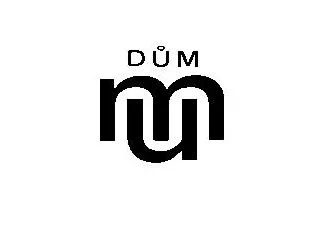 DDM Dům logo