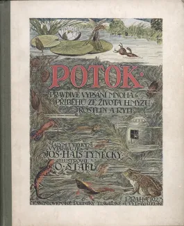 Obálka knihy Potok od J. Haise Týneckého