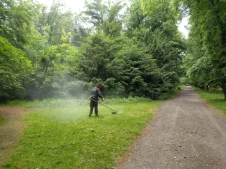 Tajemná obora Hvězda 3