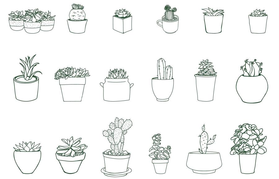 Swap rostlin na Lužinách